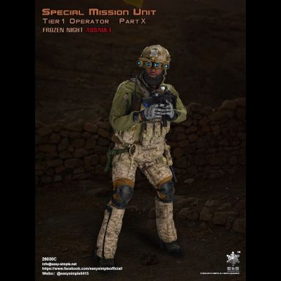 Штурмовик группы Сил специальных операций США - КОЛЛЕКЦИОННАЯ ФИГУРКА 1/6 scale Special Mission Unit Part X Frozen Night Assault (26030C) - Easy&amp;Simple