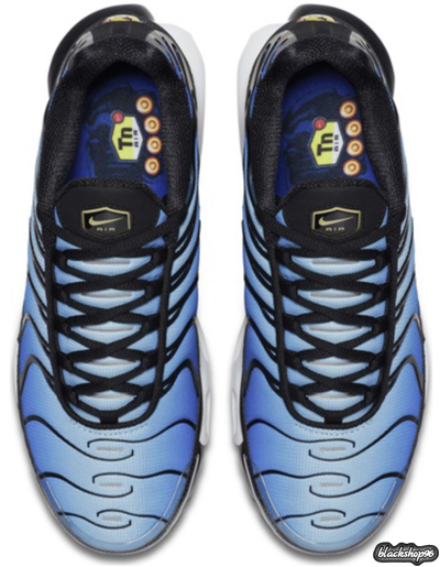 NIKE AIR MAX TN PLUS СИНИЕ (40-45)