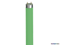 Narva LT 36w/017 Green T8 G13