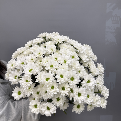 Букет из 15 кустовых хризантем