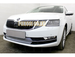 Защита радиатора Skoda Oktavia А7 2017- chrome