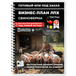 Бизнес-план для ЛПХ под соц контракт: разведение свиней