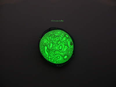 Мистическая луна. Брошь в виде луны из полимерной глины. Украшение светится в темноте