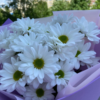 Мини букет хризантем