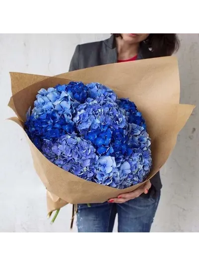 11 голубых гортензий в крафте