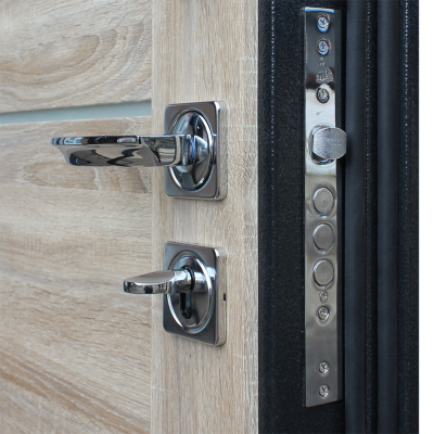 Стальная дверь   Техно XN 99