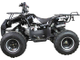 Купить Квадроцикл ATV Classic 8 125