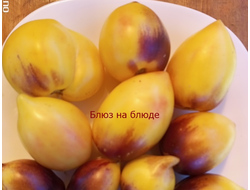 Томат Блюз на блюде (Blues on a Platter)