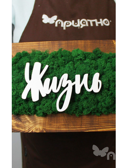 ЖИВАЯ ЭКО-КАРТИНА 1045