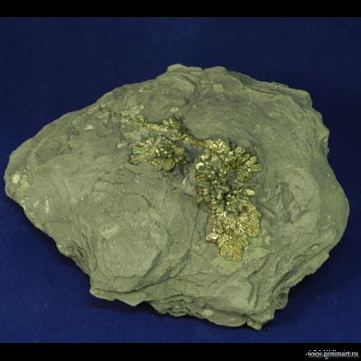 Марказит в мергелистой глине. Россия. 135*105*32мм