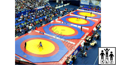 Помост для борцовских ковров