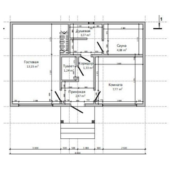 Одноэтажная каркасная баня с одной спальней 35м² (SK25)