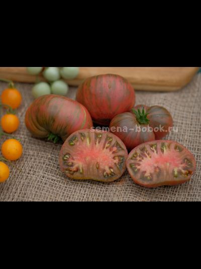 Томат Dwarf Noah&#039;s Stripes (Гном Полоски Ноя), 10 шт