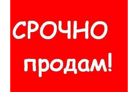 Готовые сайты от команды фрилансеров