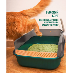 Лоток с бортиком Scandy изумруд