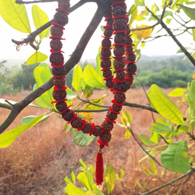 Четки Premium quality из натуральной крупной Рудракши 54 бусины красные