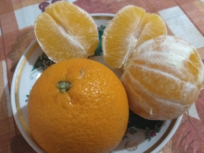 Сок апельсиновый свежевыжатый купить с доставкой на дом | ферма СытникЪ