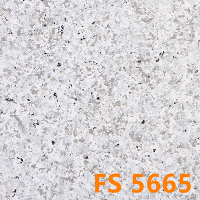 H5000-FS5665