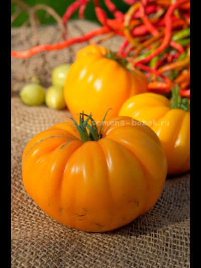 Томат Oro Giant (ОРО Гигант), 10 шт