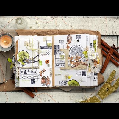 ФП штамп &quot;Киви&quot;