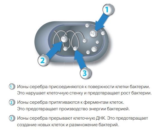 Ионы серебра можно обнаружить