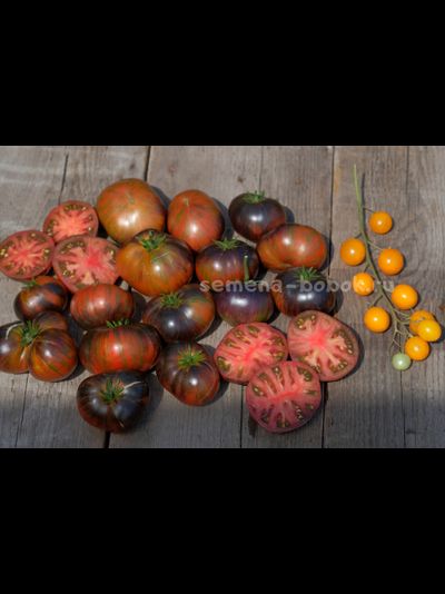 Томат Dwarf Rebel Starfighter Dipper&#039;s Delight (Гном Восставший Звездный Истребитель Восторг Диппера), 10 шт