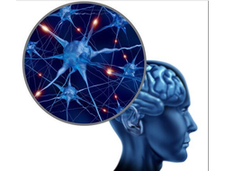 Нервная система - сон, стресс...