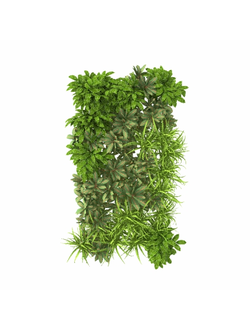 Фитостена, фитокартины