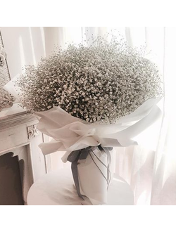 Букет из Гипсофилы, 25 шт.