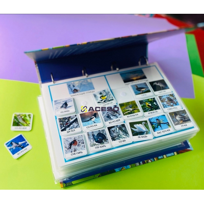 Комплект для ДОУ "Окружающий мир"