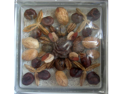 Стеклоблок декоративный Различная тематика РТ_004 (Г) 19х19х8 см