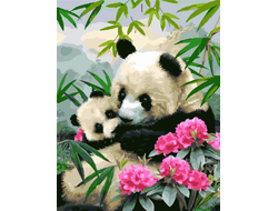 Картина по номерам - Милые панды, 40*50 см