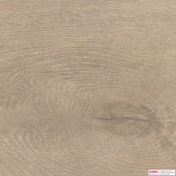 Декор ламината Haro Tritty 200 Aqua Дуб Венето Кремовый 541560 структура