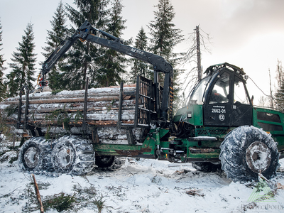 Бревна пиловочные лиственных пород (осина) ГОСТ 9462-88, 22299-76Э