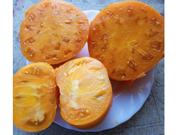 Томат Немецкий желтый Йодера (Yoder`s German Yellow)