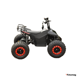 Электроквадроцикл Skyboard CyberTruck Karelia 1800W