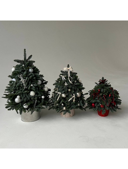 Елочка из нобилиса 65-70 см