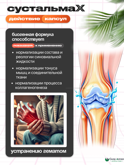 Сустальмакс: нейронные связи и здоровье вен