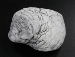 Кахолонг (Опал), желвак цельный, Оренбургская обл. (49*37*32 мм, 61 г) №29444