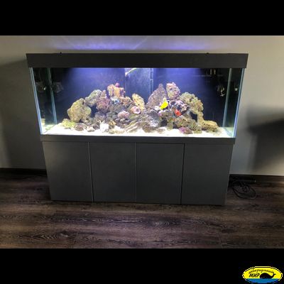 Аквариумный прямоугольный комплекс 980 (Тип тумбы 9)