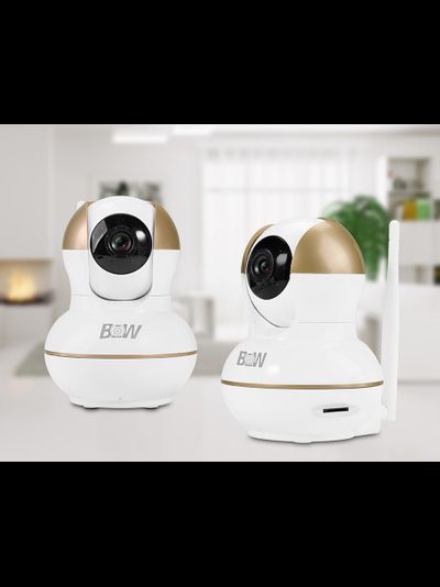 BW. Видеоняня /WiFi-LAN видеокамера моторизированная с DVR , HD (163Eye/Yoosee)