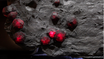 Гранат альмандин-пироповой серии с кристаллами дравита (разн. турмалина) в графитовом сланце. Red Embers mine. USA. 160*120*15мм. Редкость! (ААА)