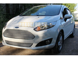 Защита радиатора Ford Fiesta MK6 (рестайлинг) 2015- chrome верх PREMIUM