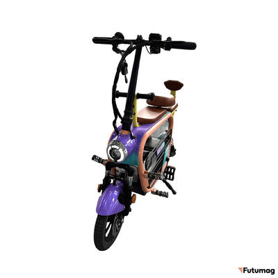 Электроскутер Skyboard Piter 350W