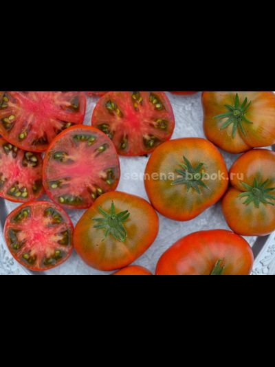 Томат Dwarf Kookaburra Cackle (Гном Смех Кукабарры), 10 шт