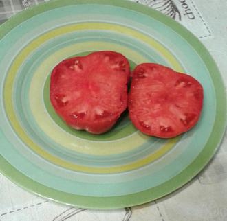 Семена томата Японка