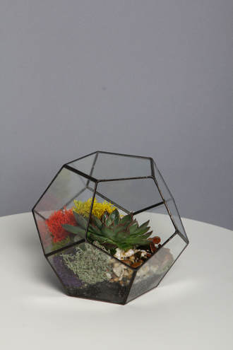 Флорариум "Додэкаэдр маленький"