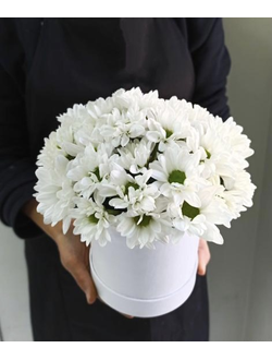 Коробка с ромашками