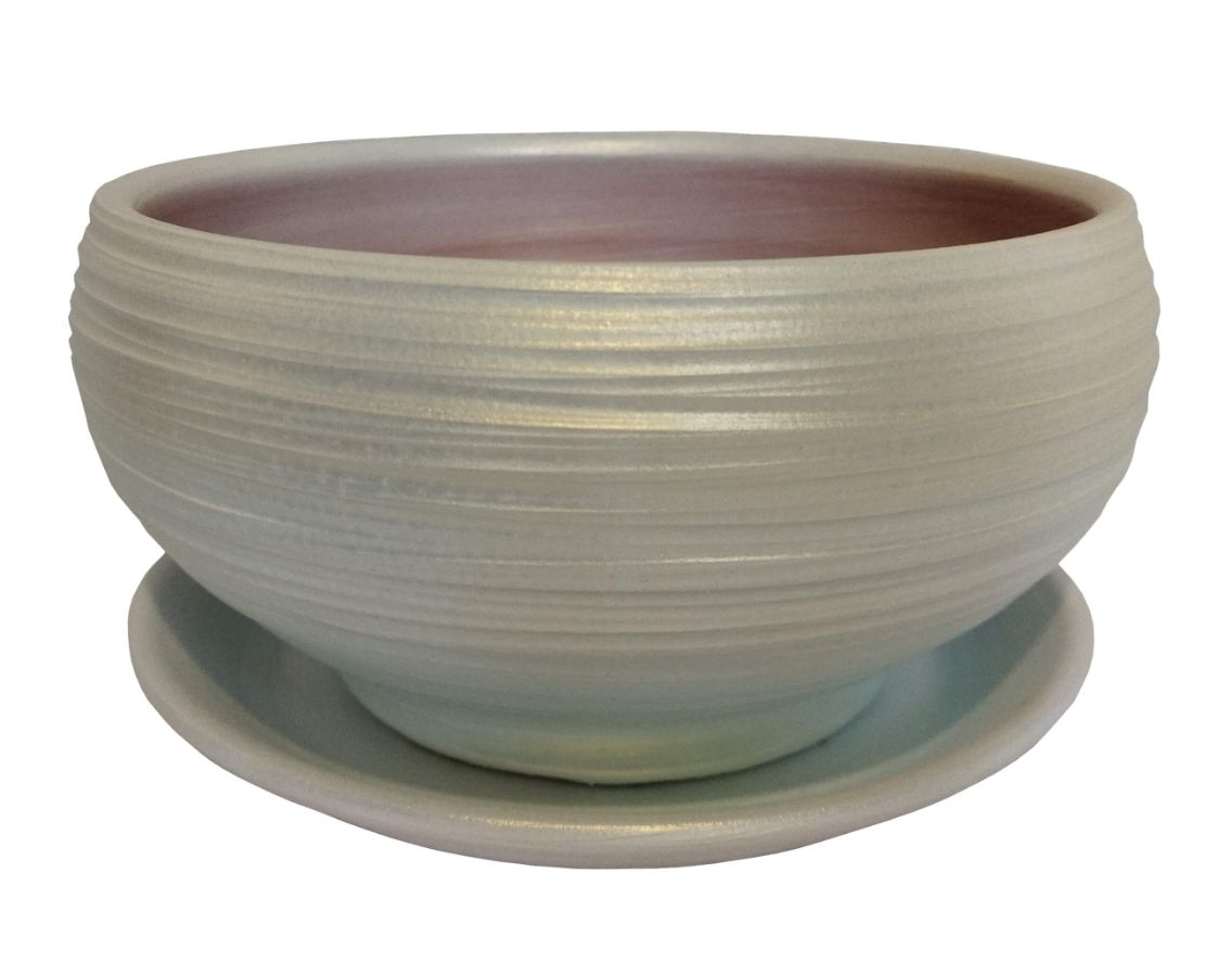 Пересадка орхидеи-фаленопсиса в домашних условиях с пошаговыми фотографиями