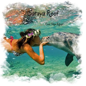 Sea trip to Sataya Reef (Dolphin House)